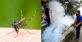 Dengue-Dainik Bhashwakar