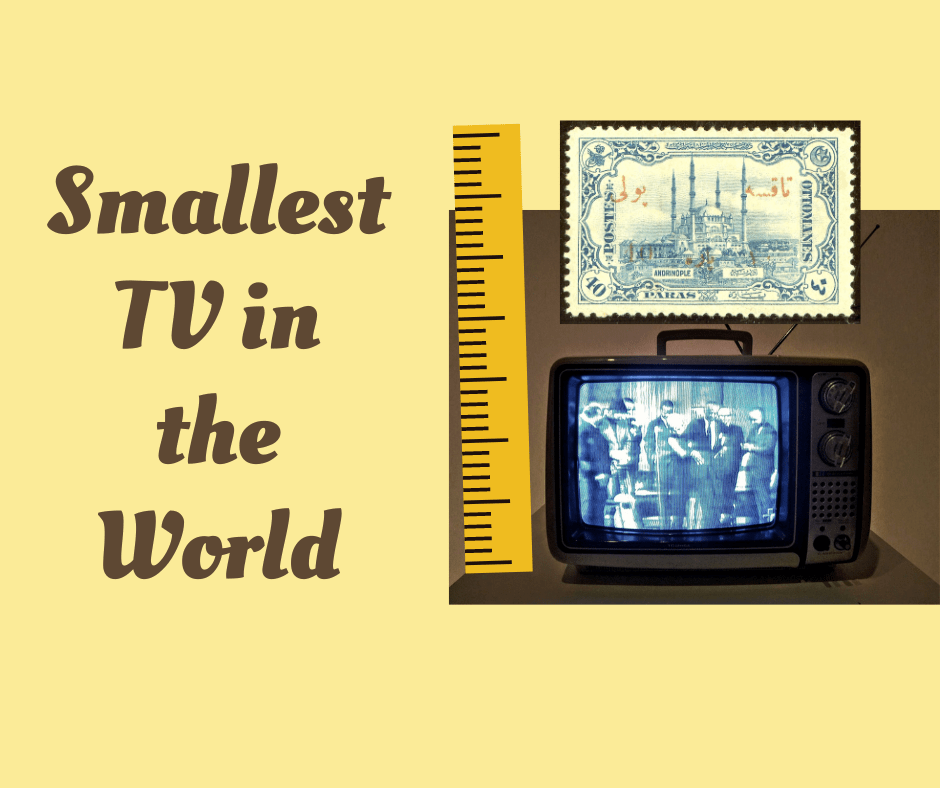 Small TV-Dainik Bhashwakar