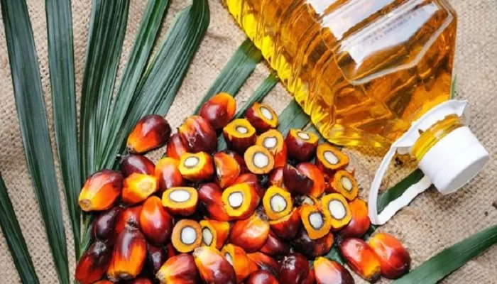 Palm-oil-collected
