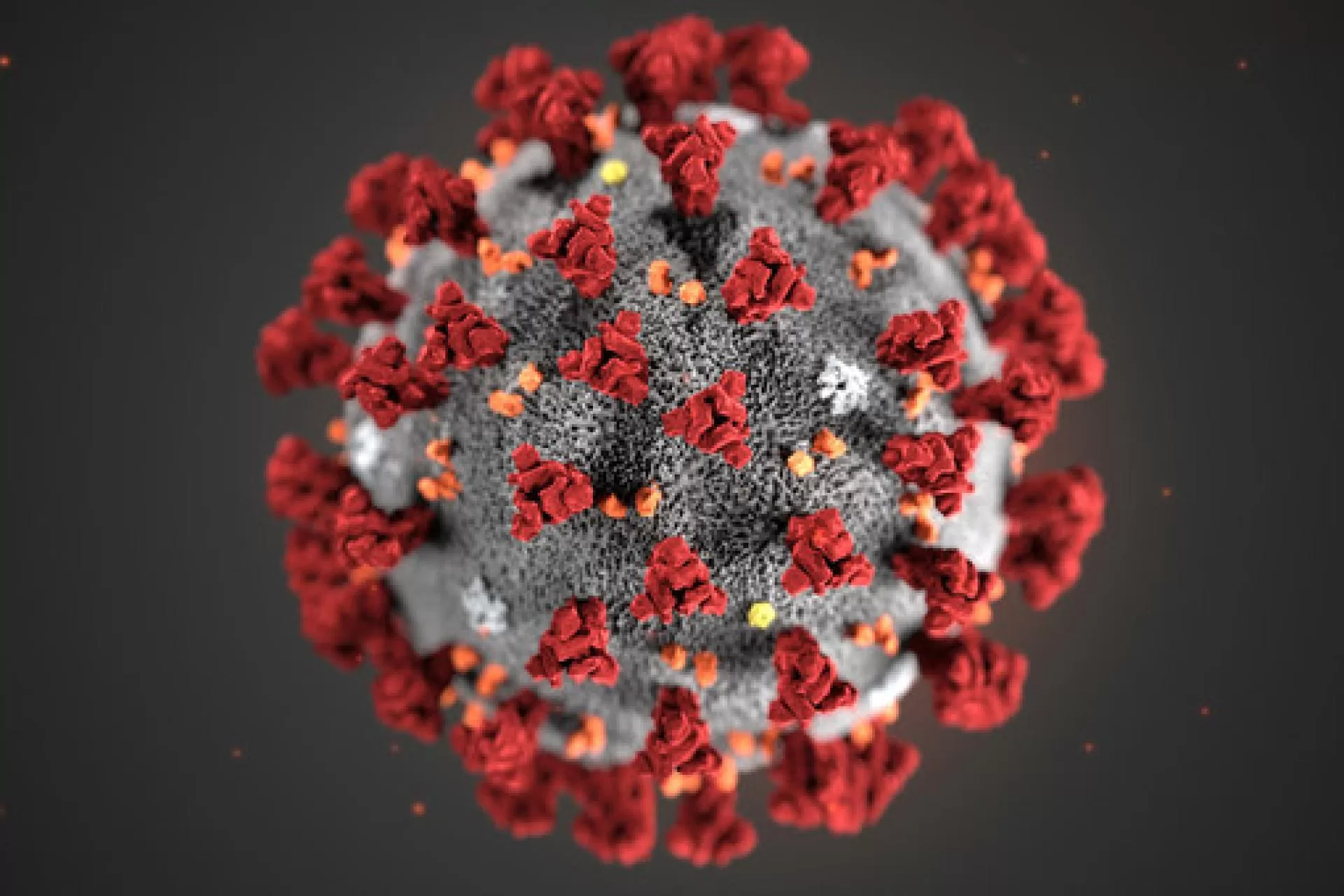 Covid19-virus-collected