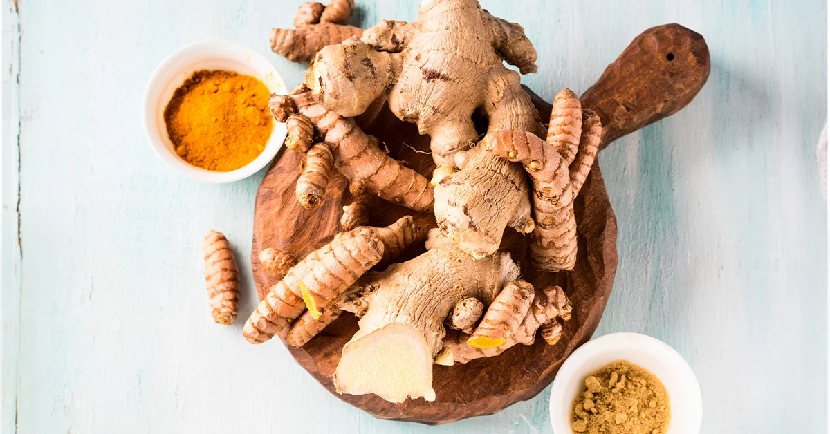 ginger-turmeric-spices-roots-collected